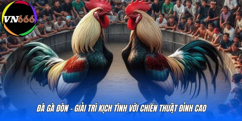 Đá gà đón - Giải trí kịch tính với chiến thuật đỉnh cao