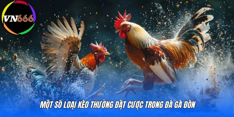Một số loại kèo thường đặt cược trong đá gà đòn