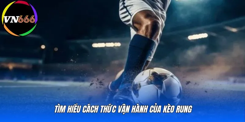 Tìm hiểu cách thức vận hành của kèo rung