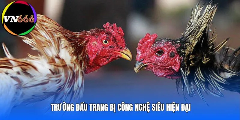 Trường đấu trang bị công nghệ siêu hiện đại