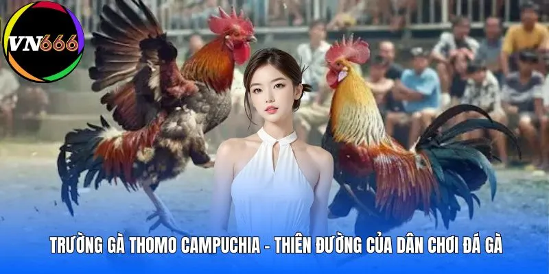 truong-ga-thomo-campuchia-thien-duong-cua-dan-choi-da-ga-avt